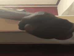 00后大学生嫩妹丝袜美脚诱惑，恋足控的极致享受！