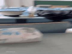 EVA极品母狗超爽大白臀饱满阴唇最新视频合集_1