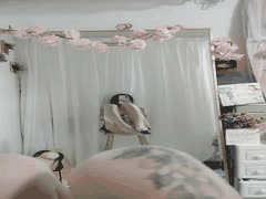 粉葡萄丝足诱惑：大美腿骚浪福利表演