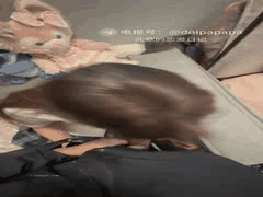 20岁江南深情嫩妹无毛白虎无套内射，超级敏感真实猛干自拍