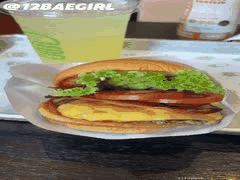 国产肥臀福利姬十二：12baegirl翘臀诱惑大秀