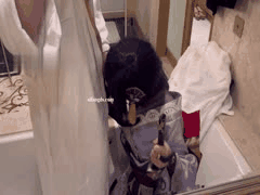 露脸王道每日优选：Maniacccccc 疯狂第二弹