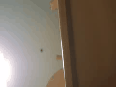 绝美纹身情侣自拍：火辣身材家中激情狂欢