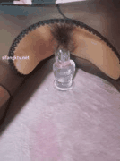 岚莺裸舞精彩合集与喵酱疑云事件全解析