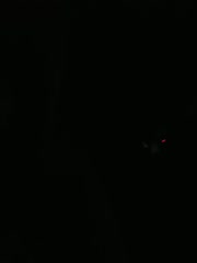 迷丝媛媛黑丝美腿与玉足足交精选合集_丝足控必看