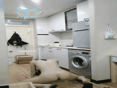 半糖镜宝动感裸舞：专业舞者奔放狂野诱惑表演