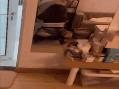 豹纹肥臀白虎少女：骚浪舞蹈艺术生酒吧狂欢