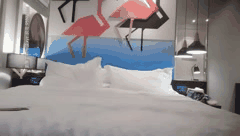 极品风骚御姐激情无套挑战_火辣高能瞬间全记录