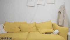 害羞短发巨乳妹3P狂欢_老哥揉爆丰满双峰_淫水泛滥深喉吞棒_前后夹击高潮双眼迷离