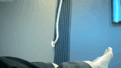 足浴天堂巅峰享受_绝色美乳技师贴身按摩撩人服务_全套合集让你血脉喷张