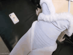 森萝财团最新内部晴涩系列：童颜巨乳美女无内丝袜真空漏奶诱惑