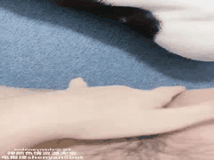 颜值爆表爆乳大学生福利姬小宾馆火辣激战完整版