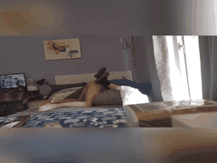 男主野兽般扑上_美女半推半就被狂操内射高潮_事后清醒痛哭不止