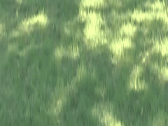 雨夜惊魂_无辜女孩惨遭强暴