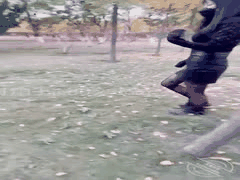 海角大神原创：邻居少妇被强奸超刺激剧情合集 - 熟女人妻推倒第二部