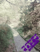 推特性感小猫咪户外激情双人合集大曝光_1