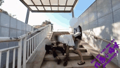 推特性感小猫咪户外激情双人合集精彩呈现_5