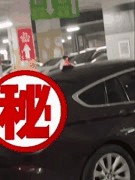 推特极品淫妻户外大胆露出_J神小瓦力带你直击刺激野外高潮