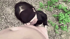 野外车震征服高冷女上司_全裸翘臀狂摇索要巨棒_大开后门猛插蜜穴_内射精液狂喷不止