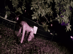 户外主人的羞耻任务_学生萝莉化身母狗潮吹群P高潮喷射