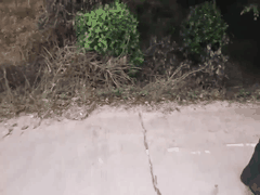 户外露出调教狂欢_大奶美女吓跑农民工后_学生萝莉潮吹群交高潮迭起