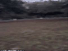 骚浪小母狗户外露出野战激情_潮吹群交学生萝莉欲火焚身