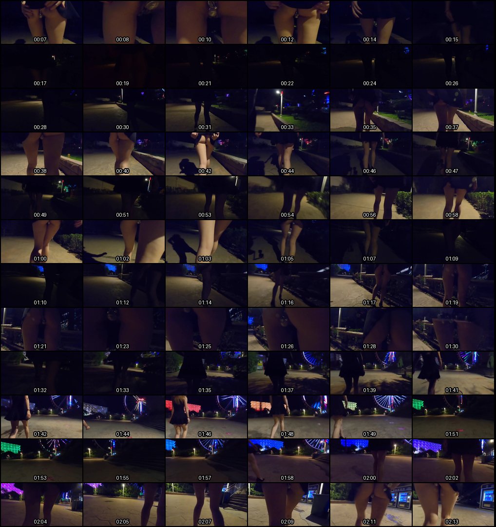 芬姬夏妓：骚浪淫妻野外露出喷水高潮 内射刷锅狂欢_1