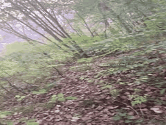 抖音叶娇娇极品少妇户外露出女王大尺度啪啪激情付费视频