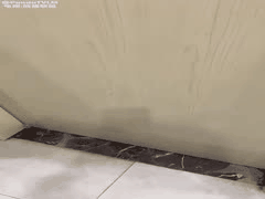 深夜女主播户外公厕勾引小哥激战，高潮瞬间突遇闯入者惊魂！