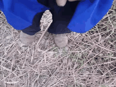 全网最骚户外主播勾引农工骑手中学生！快递老头包工头车震真实狂欢，必看户外精品