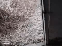 全网最骚户外主播勾引农名工、外卖小哥、中学生！真实车震钓鱼按摩劲爆合集