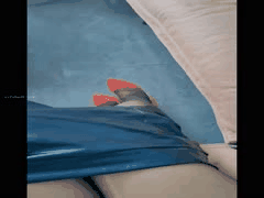 九尾妹大尺度户外私拍：丝袜御姐完美身材露出刺激福利