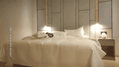 文轩探花系列_15位知名探花的精彩约会精选合集_1