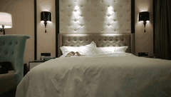 探花加钱哥激情约炮合集_各种真实玩法让你欲罢不能