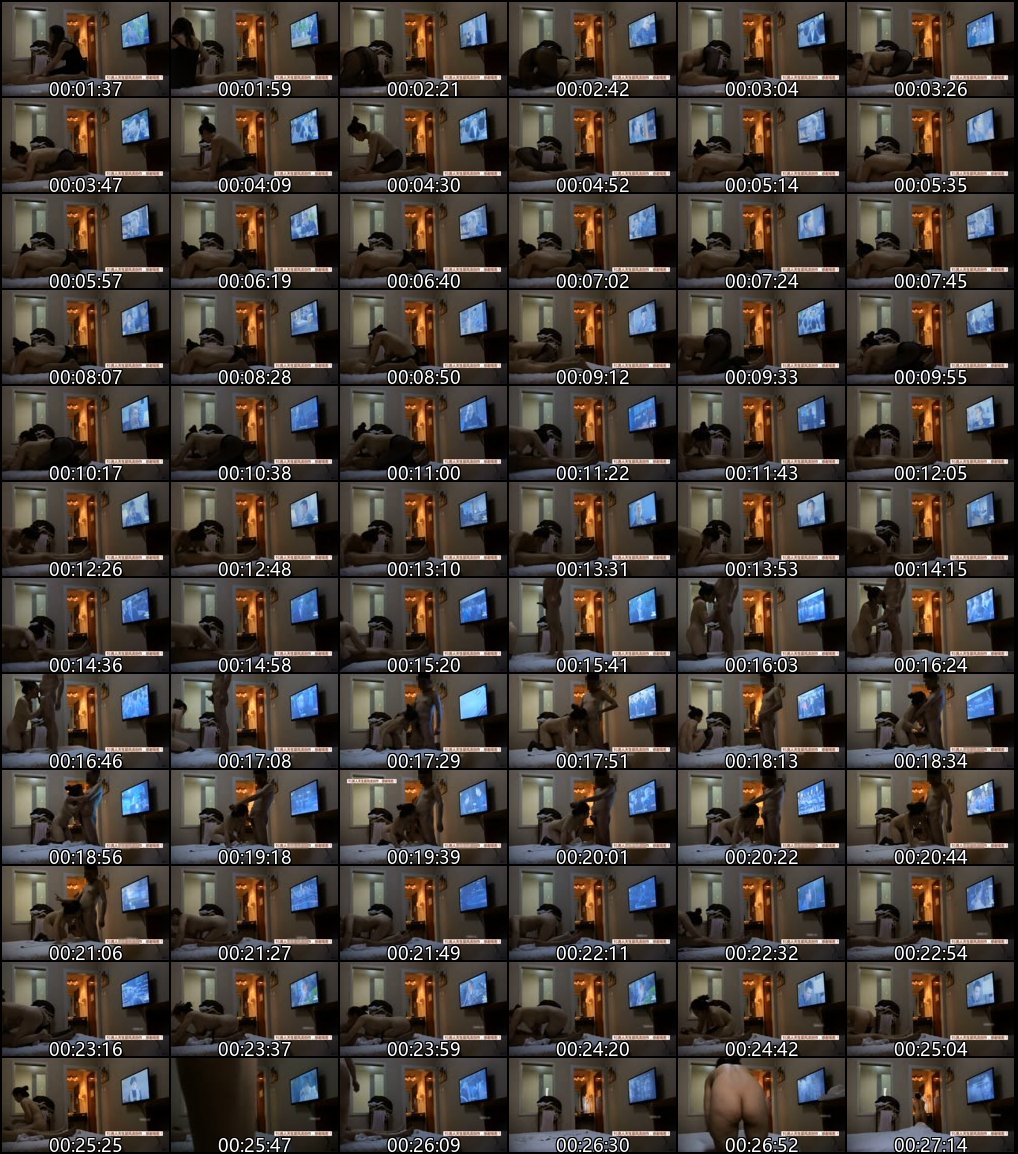 探花系列_职业炮手的风流人生与敬业女伴合集6