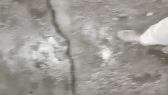 探花山鸡岁月合集_专约会所顶级技师_真实激情一夜销魂体验