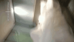 鸭哥探花猎艳记名人界约妹子狂欢刺激约会现场让你欲罢不能