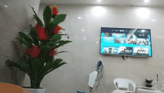 探花山鸡岁月合集2_专约会所技师的真实狂野激情_沉浸式极致快感