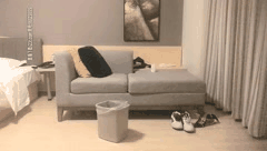 太子探花合集第九弹_御姐萝莉外围女约炮狂欢_沉浸式激情体验欲罢不能