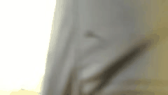 高产探花与多位良家佳人的浪漫激情合集