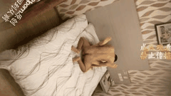 探花专约熟女人妻合集2_曹老板独特口味_激情重现从前狂野快感