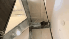 探花系列16部合集_绿帽与良家妇女的另类约会揭秘