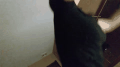 路少红灯区探花大神56月劲爆作品合集沉浸式刺激体验欲罢不能