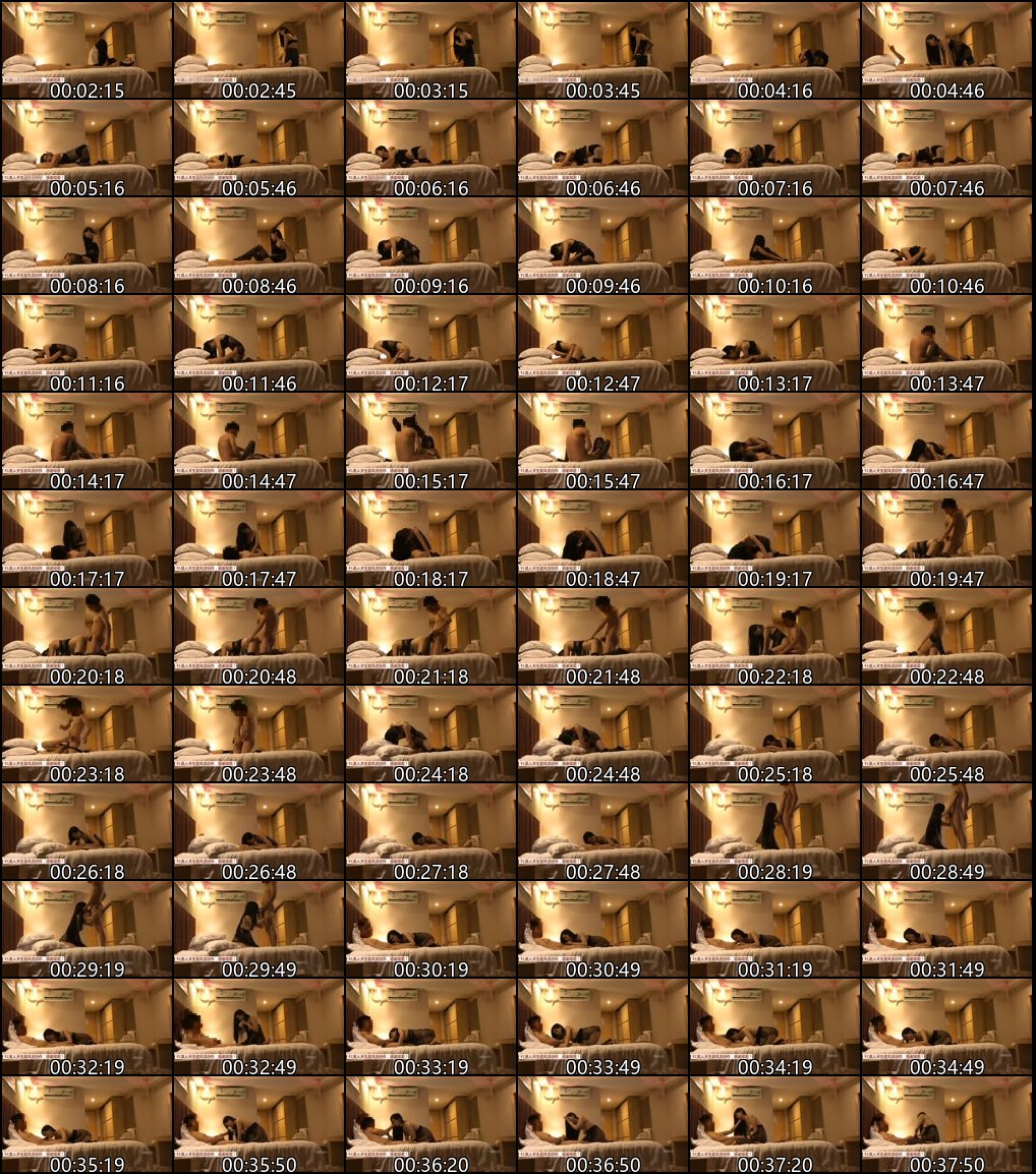 探花系列_职业炮手的风流人生_敬业妹子大集合