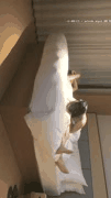 文轩探花系列_精选约会妹子经典视频合集_1