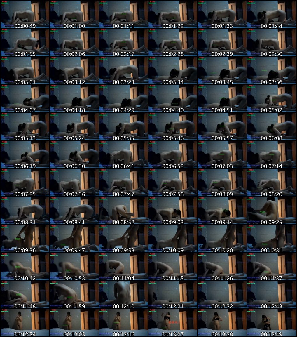 探花系列_职业炮手的风流人生与敬业妹子合集4