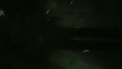 探花山鸡岁月合集_专约会所技师的真实激情缠绵_让你身临其境欲火焚身