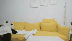 小陈头星选探花合集4知名美女如花绽放私密诱惑让人血脉喷张欲罢不能