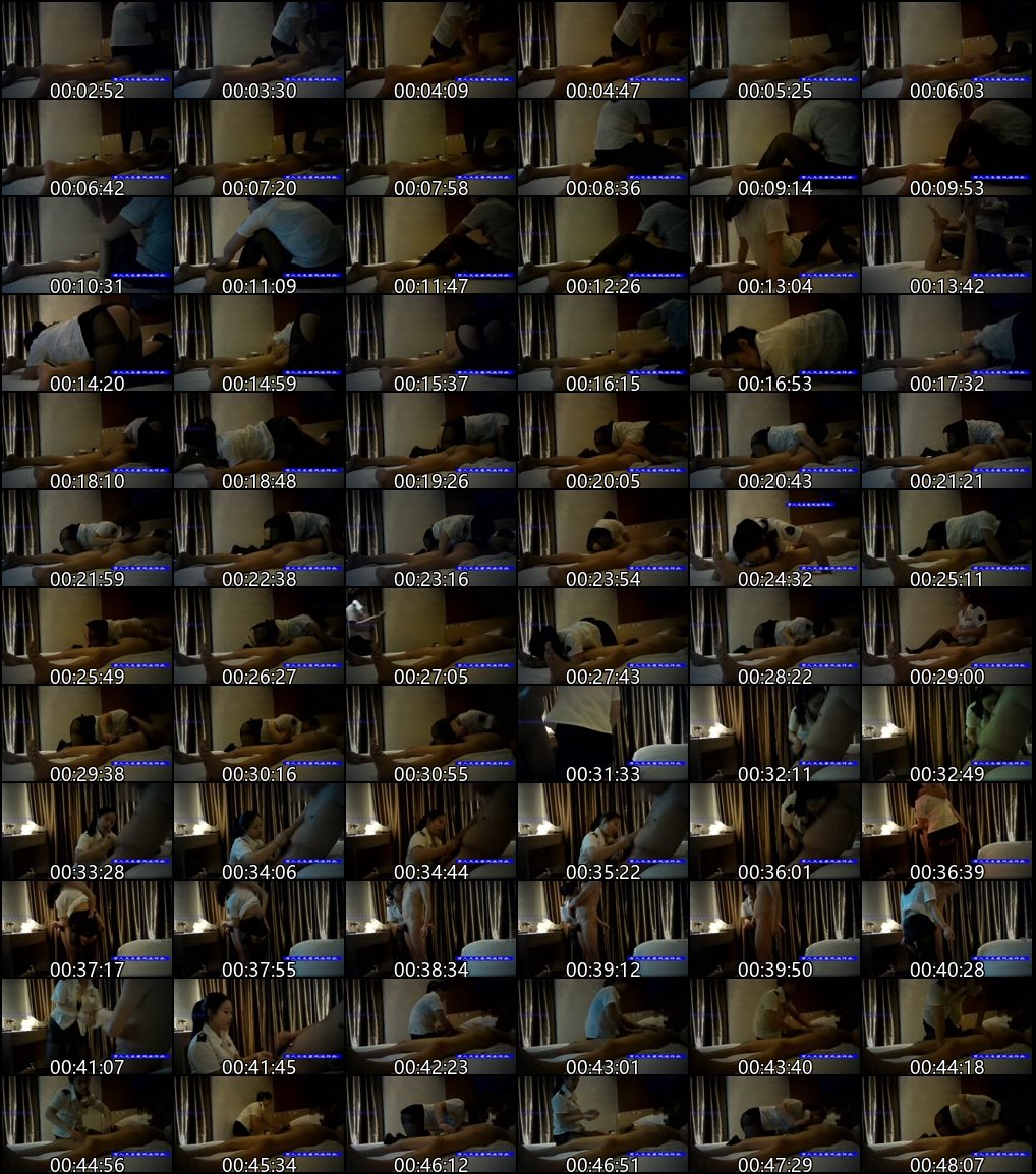 探花系列_职业炮手的风流人生与敬业女伴合集