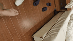 探花系列_佳人有约与恋歌的浪漫爱情故事合集